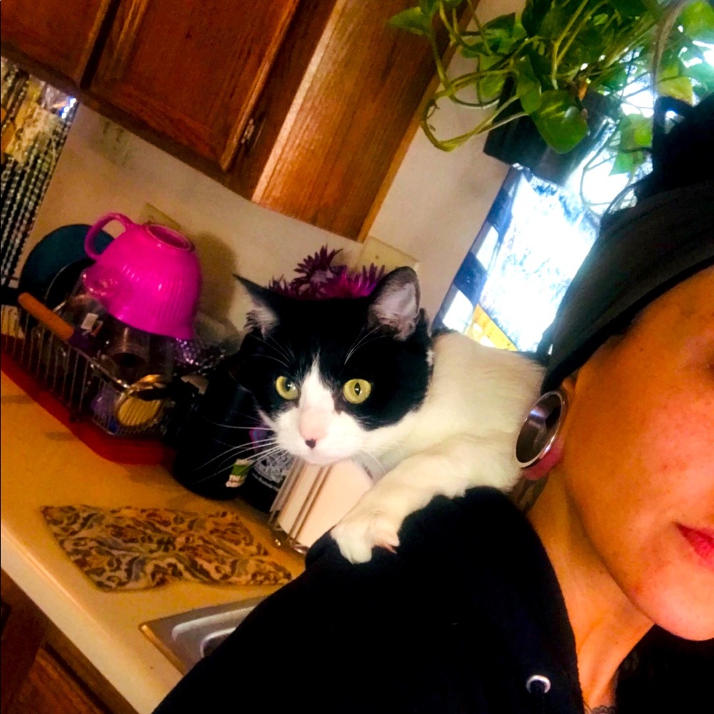 Meet your Posher, The